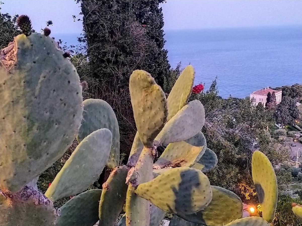 Blue Sky House Bed and Breakfast Taormina Eksteriør billede